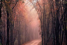 [CBA]辽宁战胜新疆 拿下总决赛开门红.