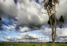 [英超]德布劳内双响 曼城客场击败水晶宫.：C7娱乐