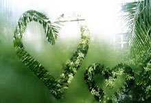 亚洲乒乓球锦标赛：中国男队晋级决赛.