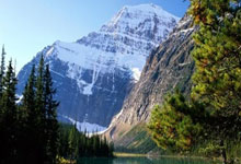 01-02赛季NBA全明星赛.:C7娱乐