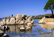 76人若输球将彻底无缘季后赛,ESPN赛前预测费城胜率不足25%.:C7娱乐